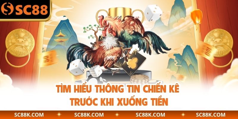 Tìm hiểu thông tin chiến kê trước khi xuống tiền